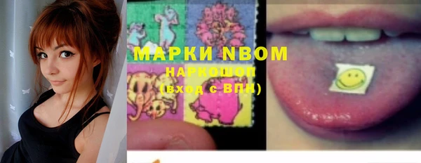 mdpv Заводоуковск